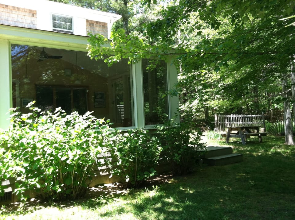 Front and side yard.