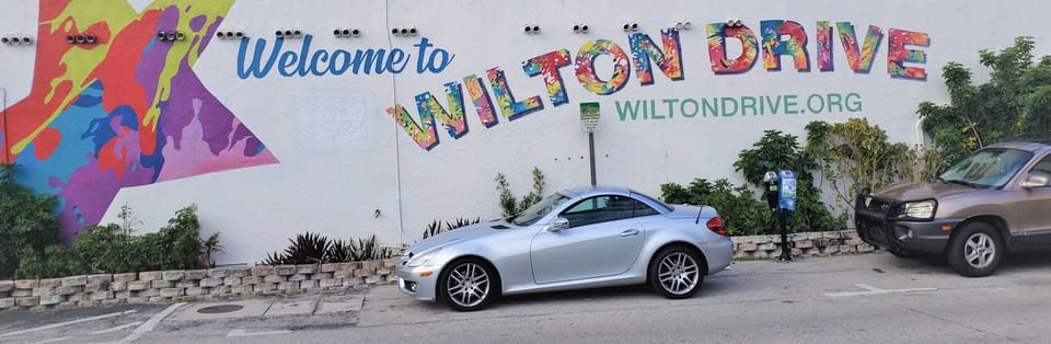 WELCOME TO THE HAPPENINGS ON POPULAR WILTON DRIVE