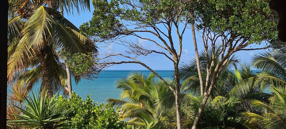 Vista mezanino.