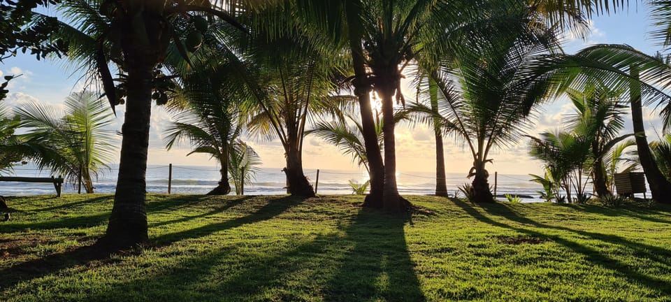 Nascer do sol visto de todos ambientes.