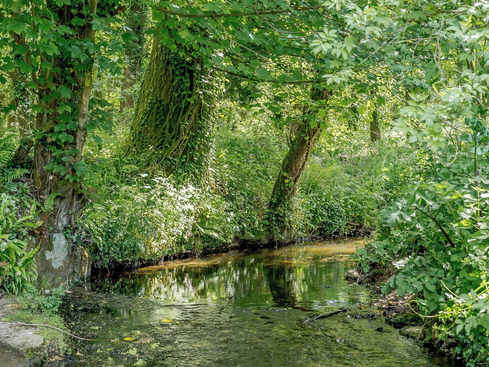 Enchanting surroundings | Mill Cottage, Hawkchurch, near Lyme Regis