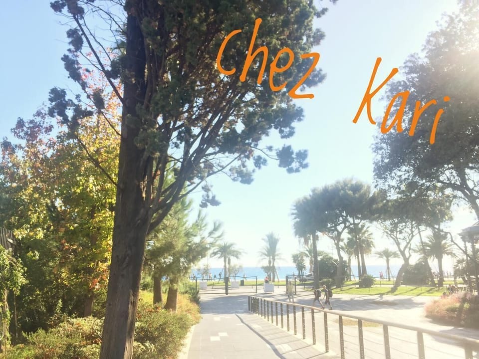 Spacious quality apartment in charming old town, fully equipped, King Size bed.  Apartment in Nice