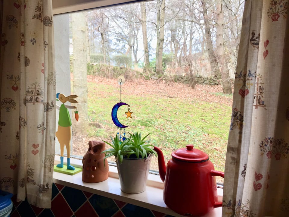 View from kitchen 