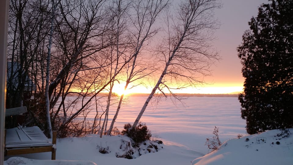 View from property