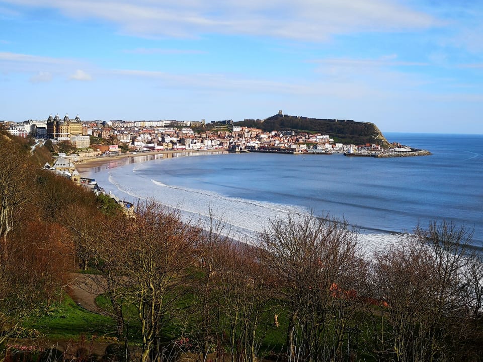 Local View Point
