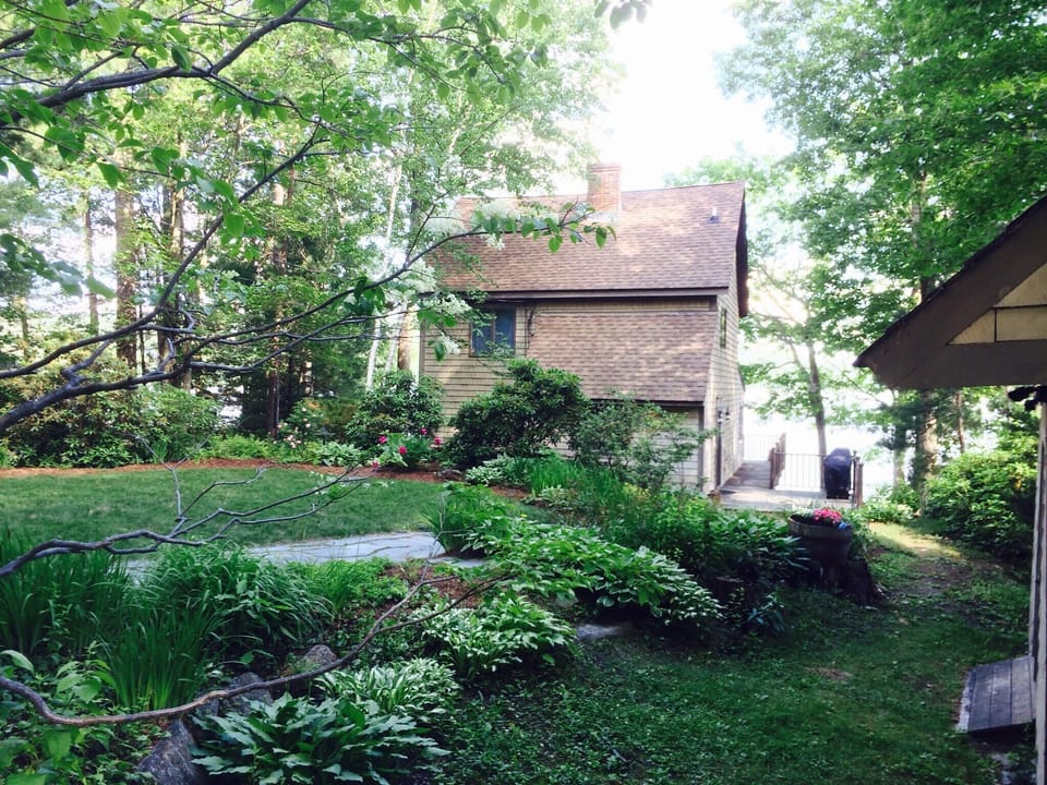 Well Landscaped Yard