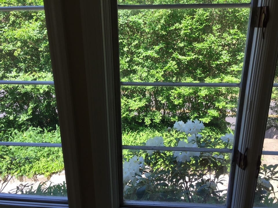 Sunroom view