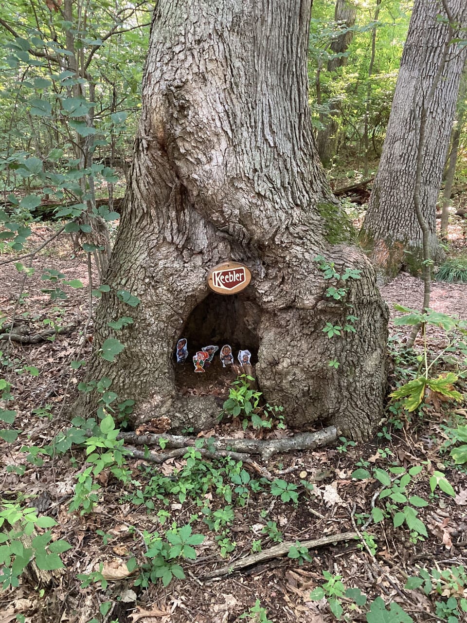 See the Keebler elves as you walk to the beach