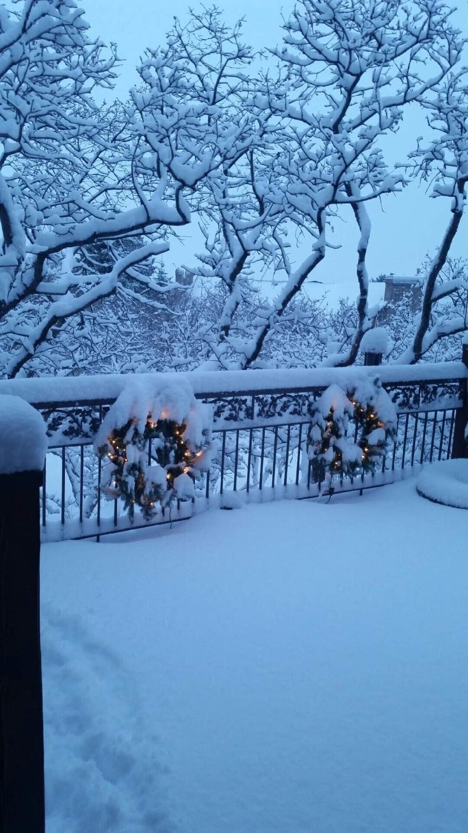 Winter wonderland !