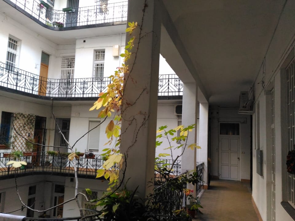 the building interior 