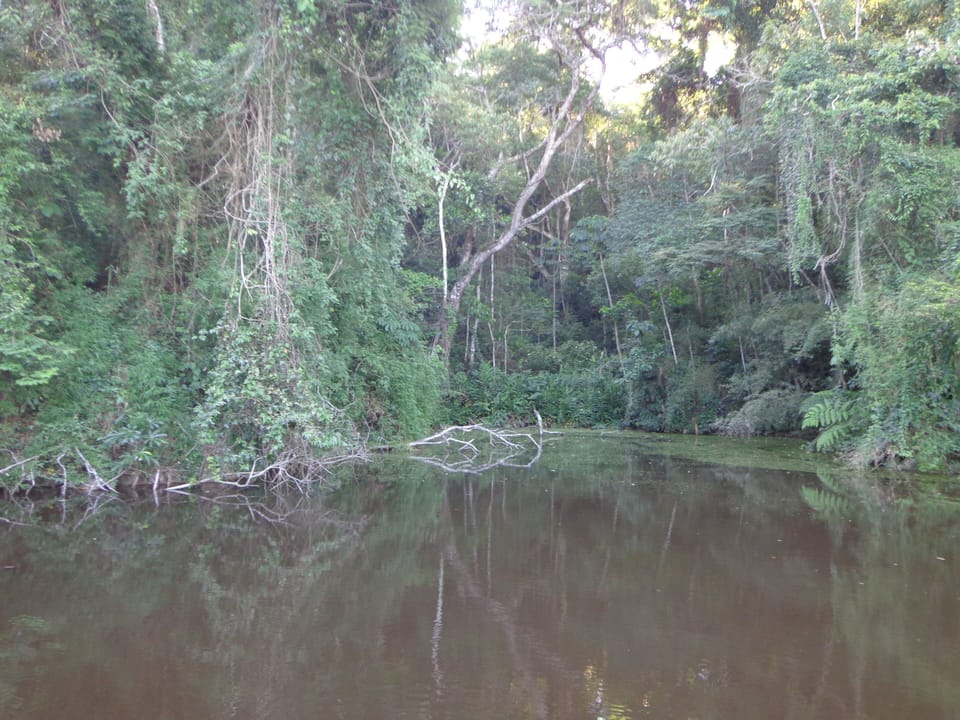Lago