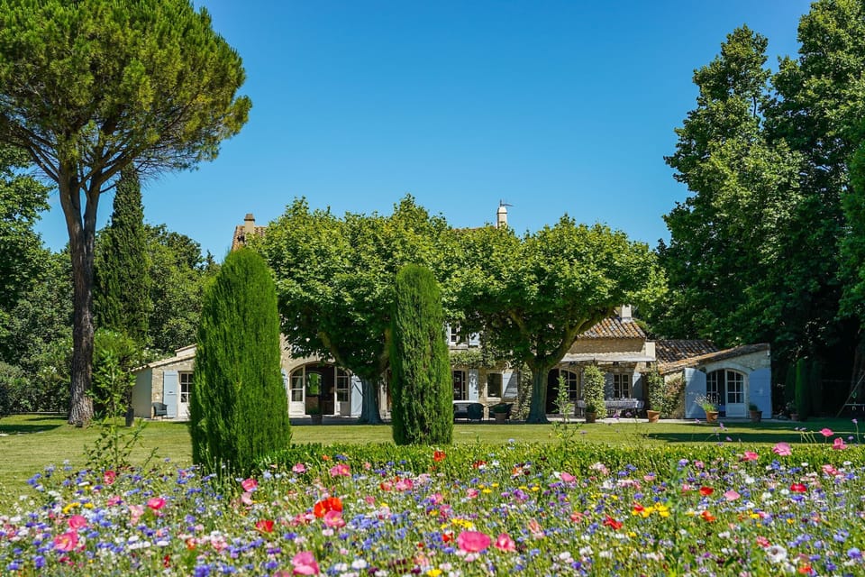 View to the facade (Summer)