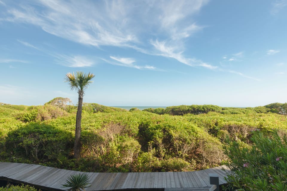 Oceanfront Premier! Beach steps away. Clean and Crisp! Same day availability. Villa in Kiawah Island