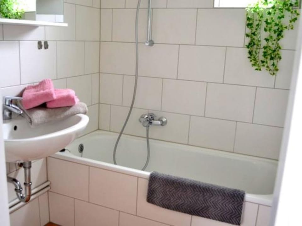 Vacation apartment Blume, Germany Apartment in Malente