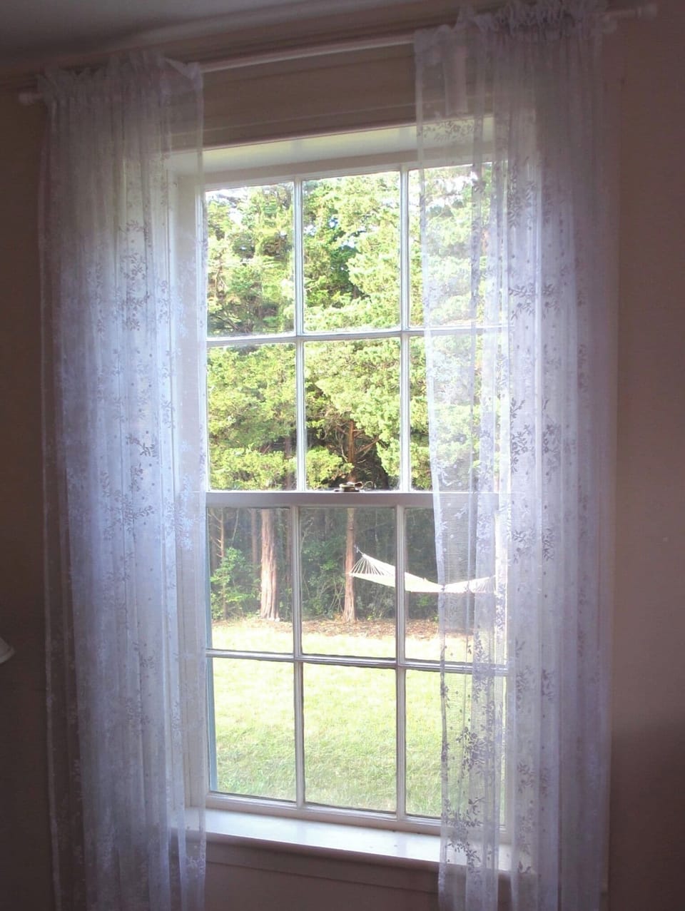 View from the living room to the outdoor hammock.