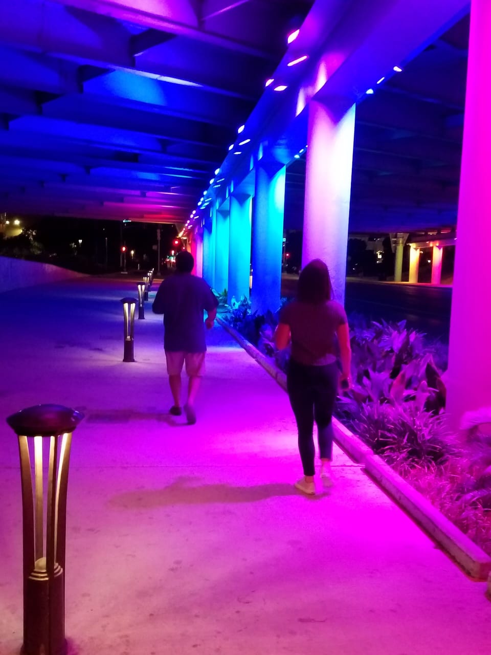 Beautiful lit path to downtown 