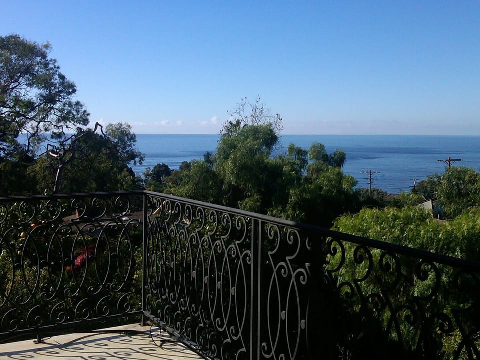 Another day in paradise!