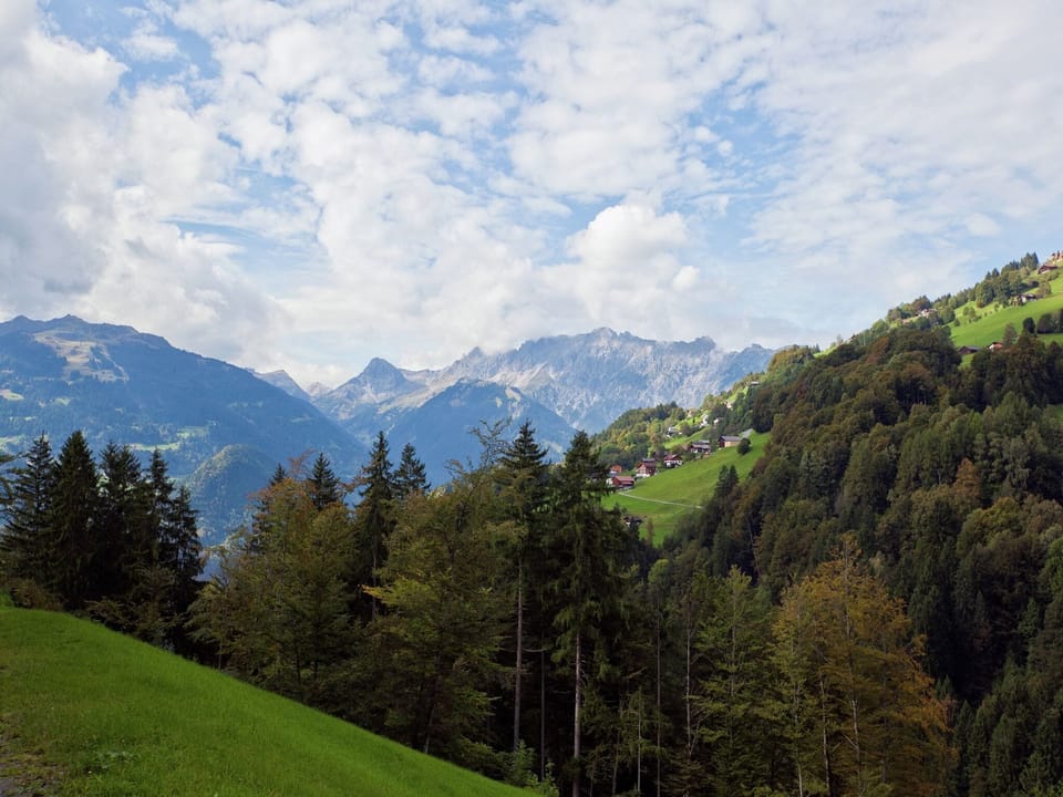 Surroundings [summer] (1-5 km)