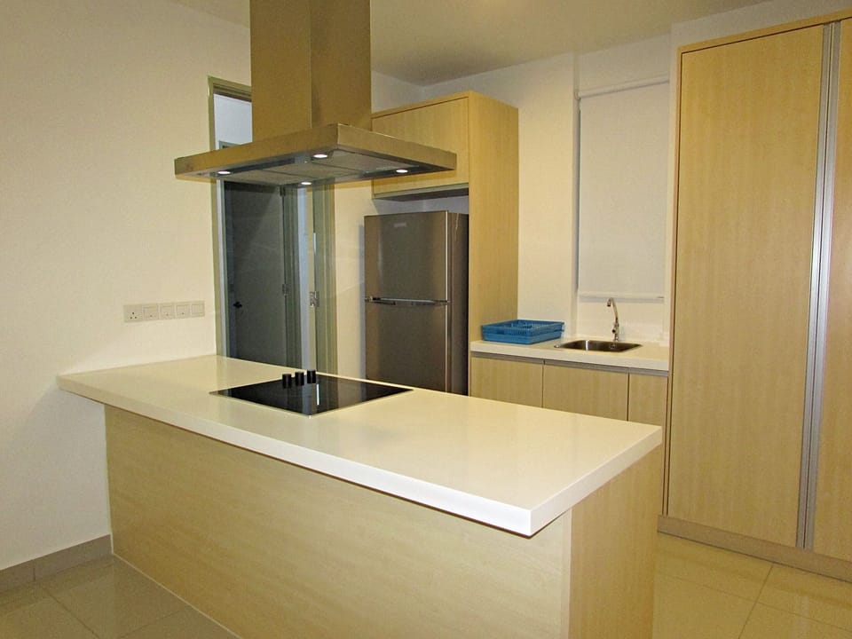 Modern Kitchen with induction stove and electric oven. 