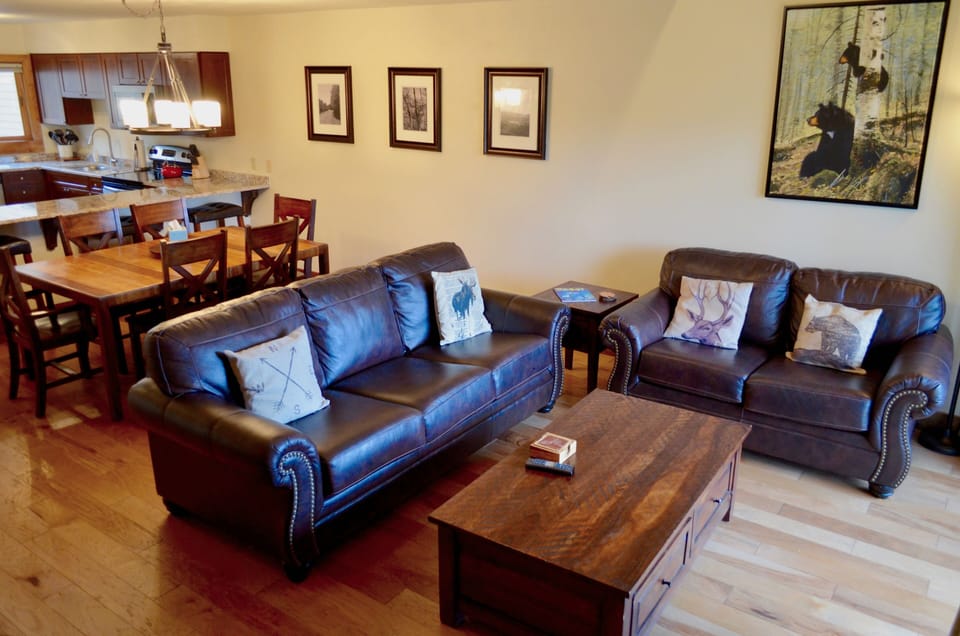 Living Room Area - The living room area has two, comfortable sofas, one is a sofa sleeper, a TV, and a gorgeous stone fireplace.
