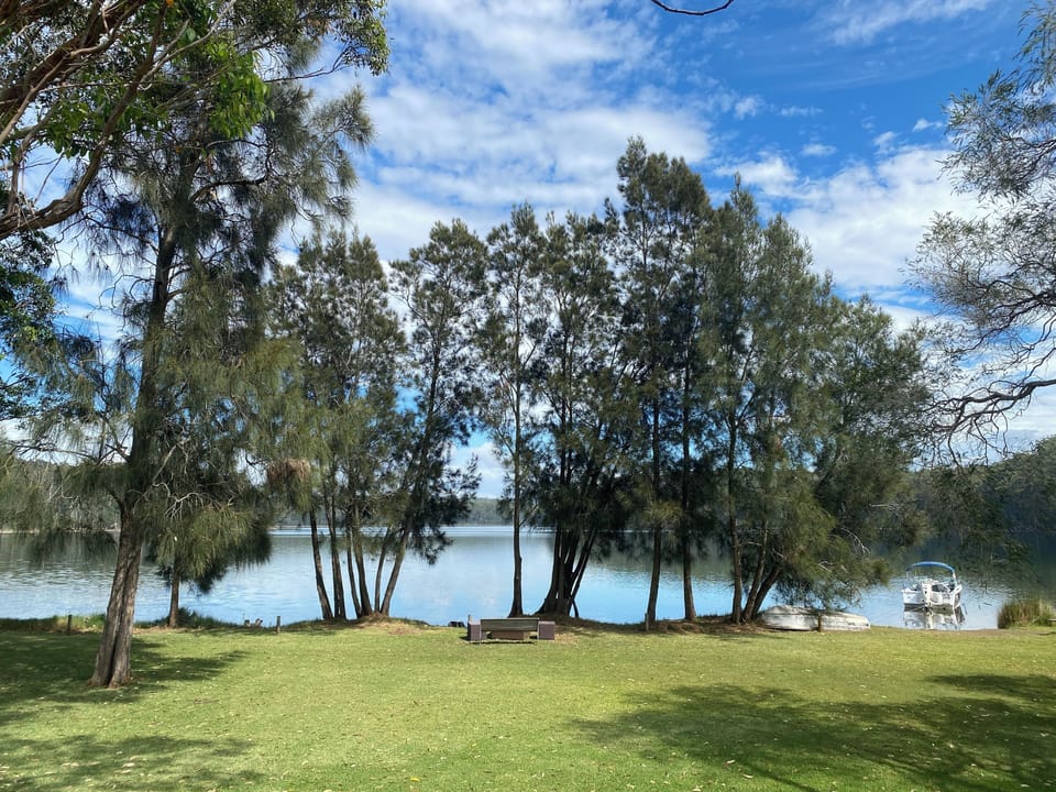 View from our back gate
