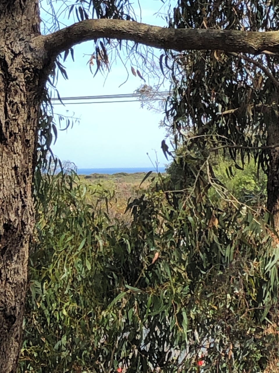 Distant sea view from the house.