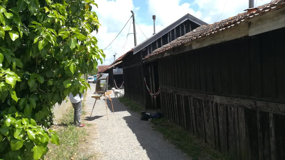 Exterior