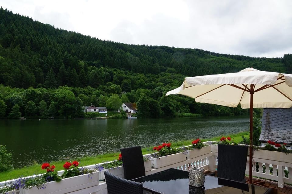View from the terrace