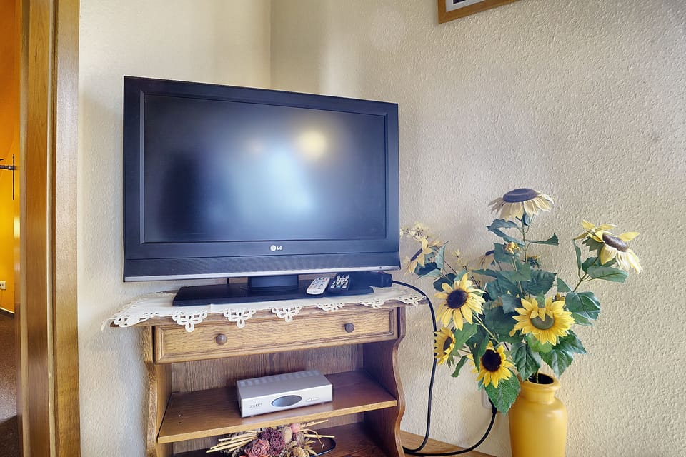 Television