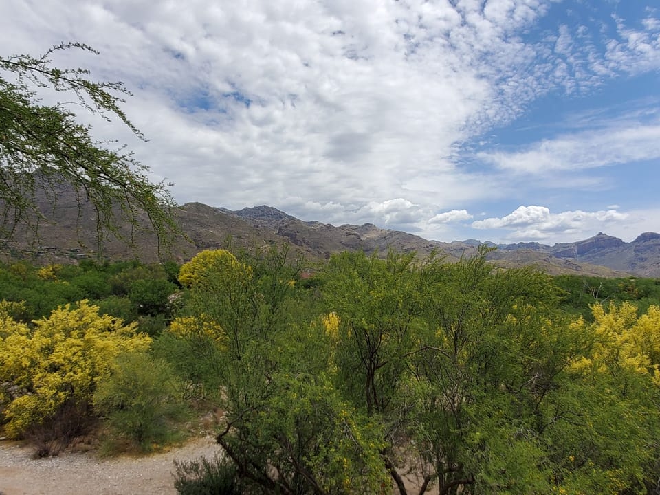 Mountain View from Patio