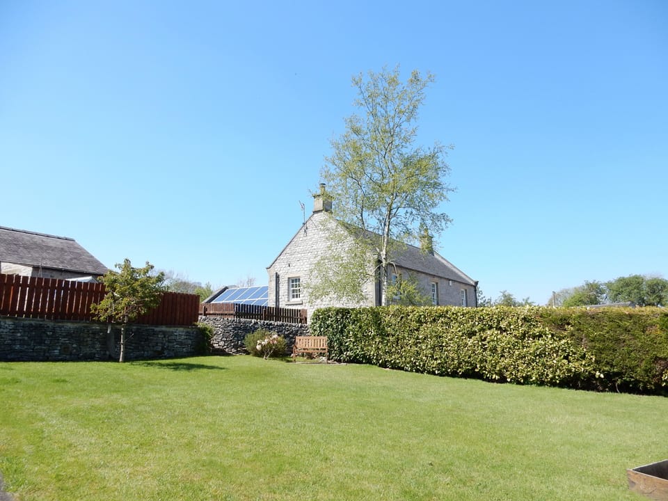 The garden.