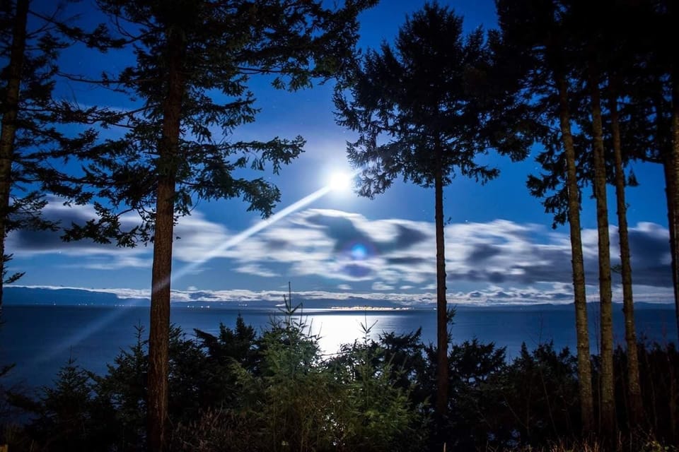 Night view from deck