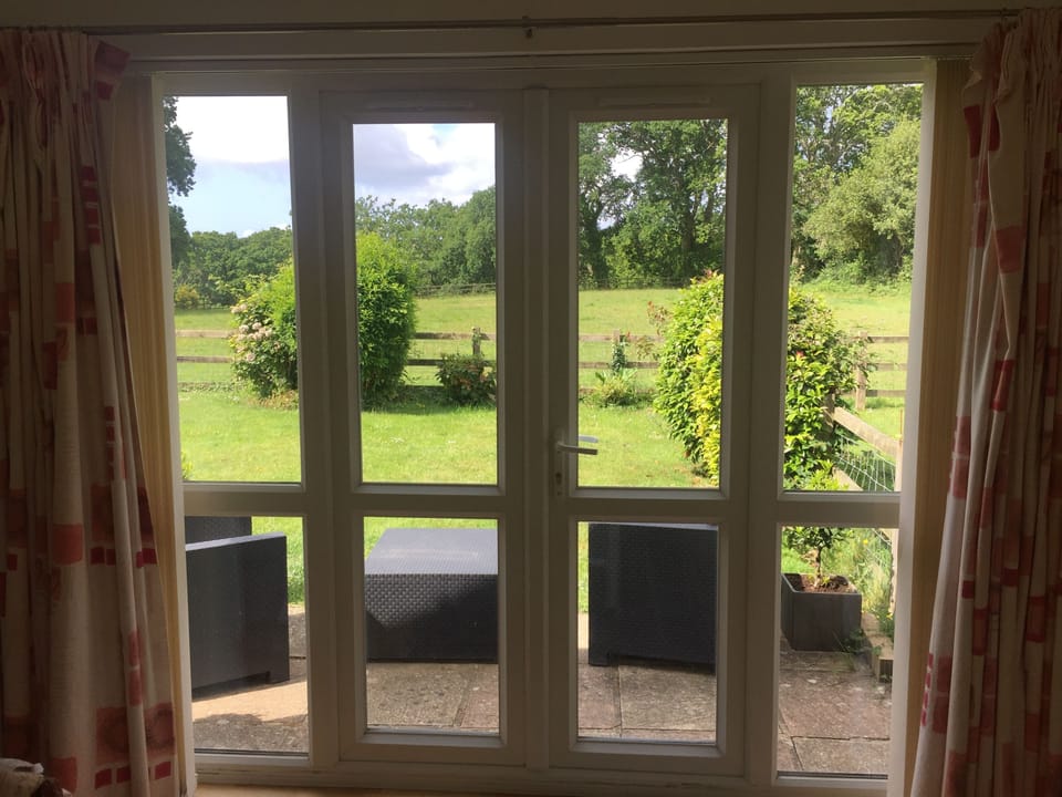 View from living room