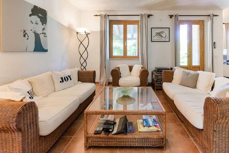 Smart TV, fireplace, DVD player, books