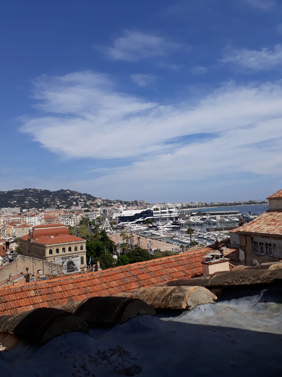 View from property