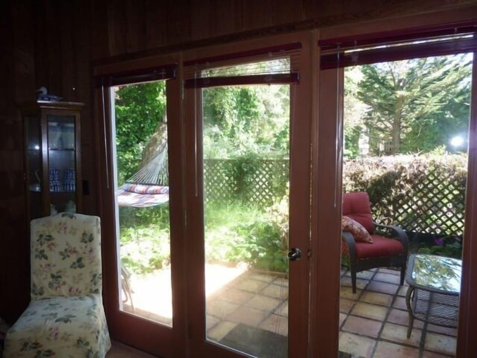 View to backyard from library