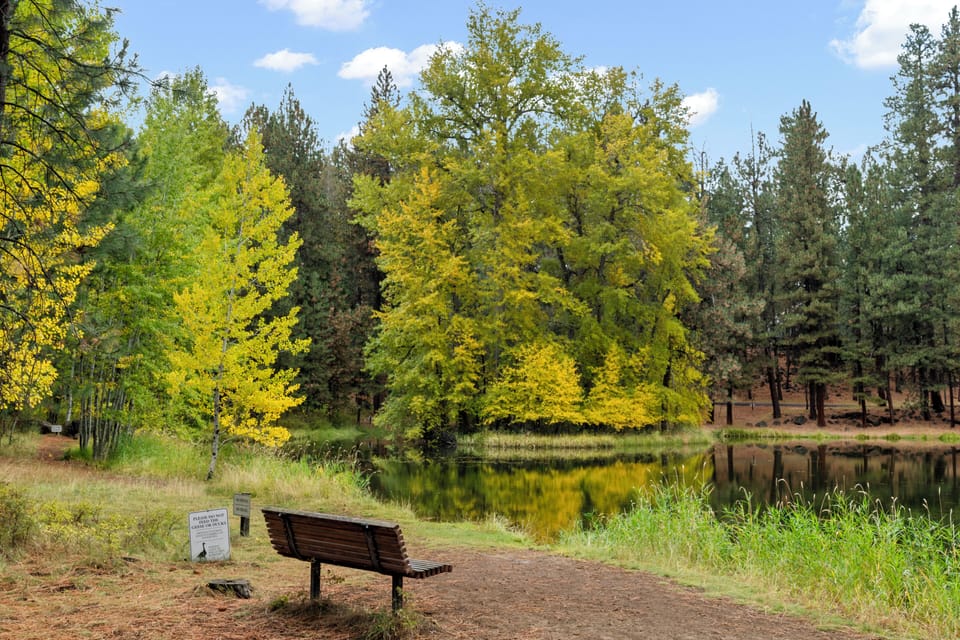 Bench on the edge of the lake