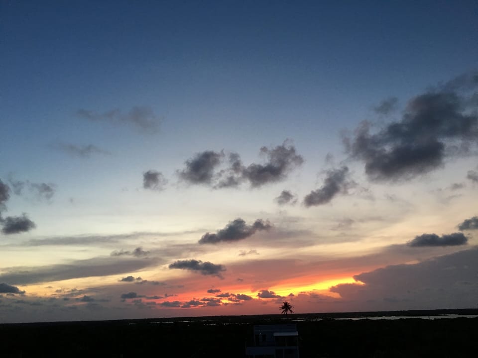 Rooftop sunset.