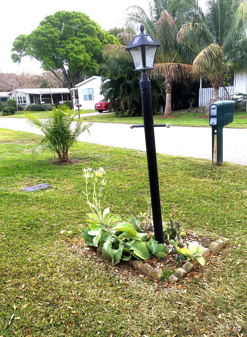 Front yard facing street
