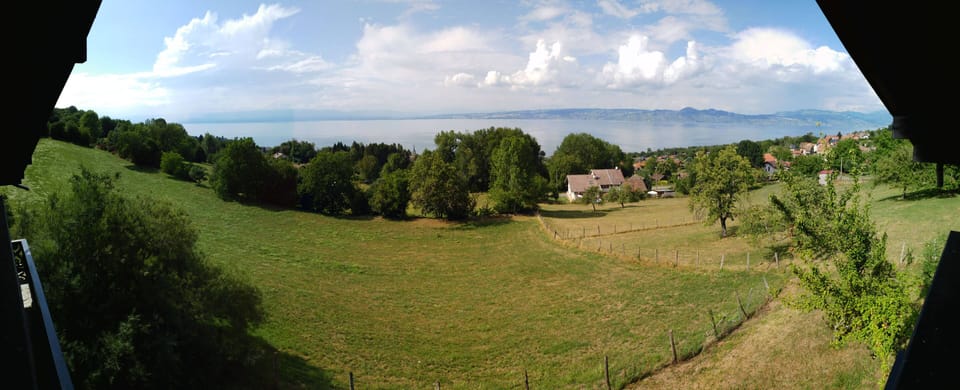 View from property