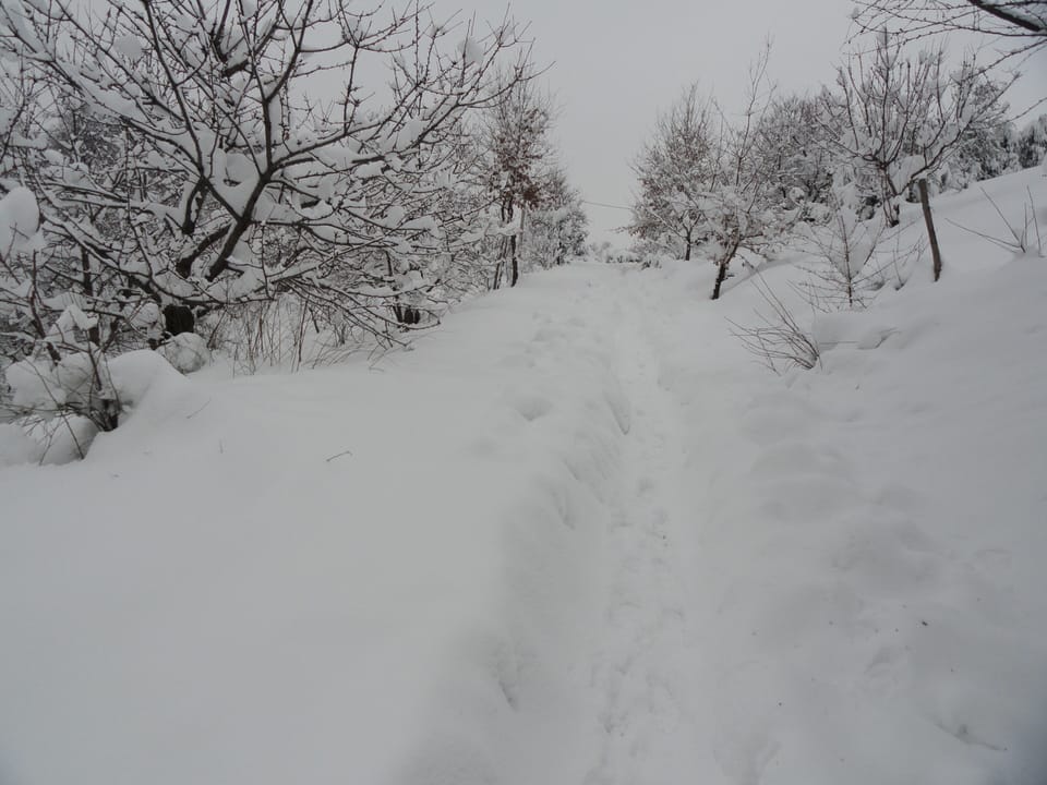 Snow and ski sports