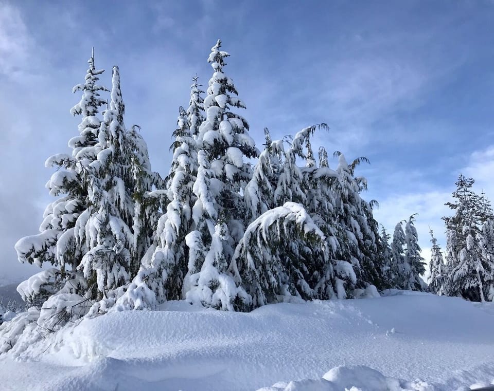 Mount Washington is a four season resort offering Alpine, Nordic & Snowshoeing