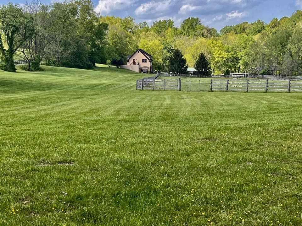 Your first view of The Cottage from the long driveway entrance to the farm