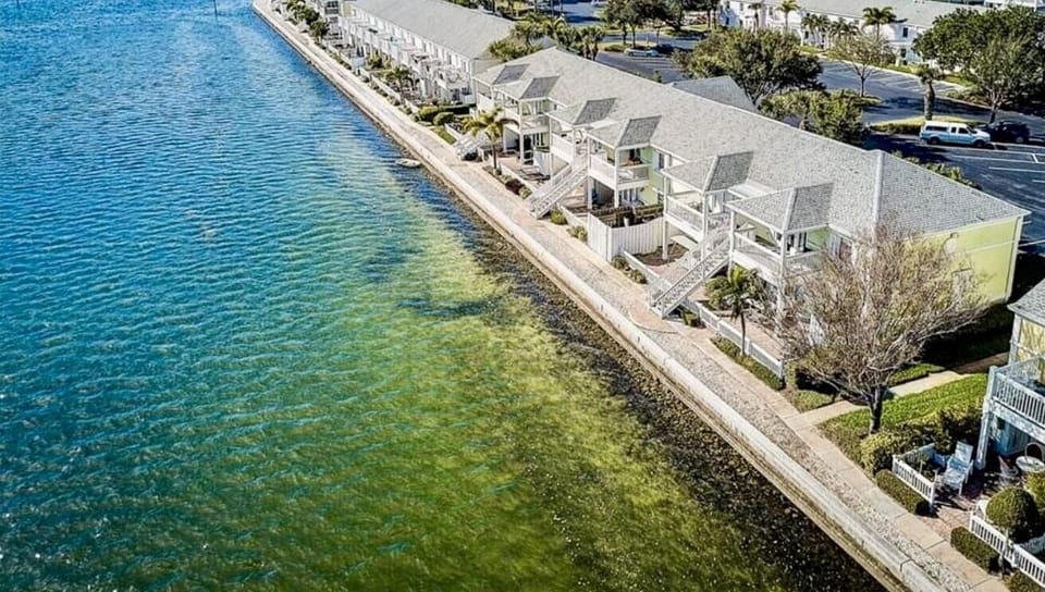 Our private patio is just 10 feet from the seawall and water