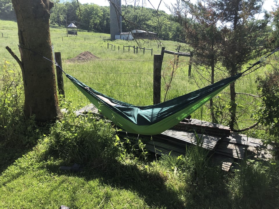 Hammock available for relaxing! 