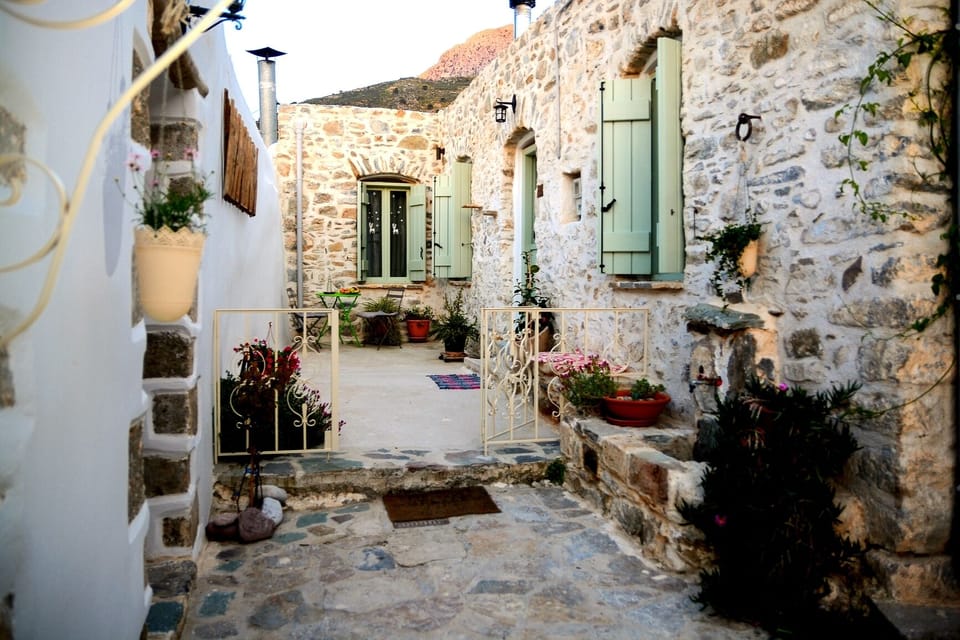 A view of our front yard