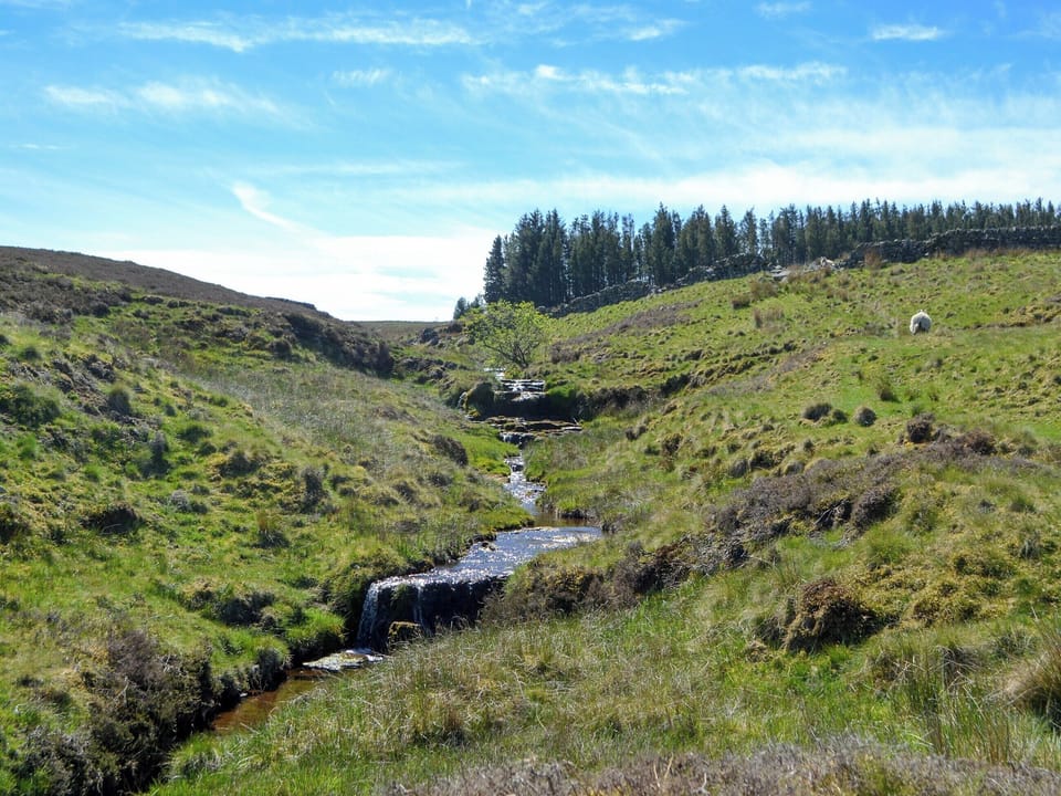 Walks around surrounding farmlands | Spindle Well Barn, Elsdon, near Otterburn