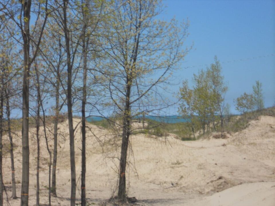 Beach- View from Washington Park - Shoreline is about 700 feet walk from house.