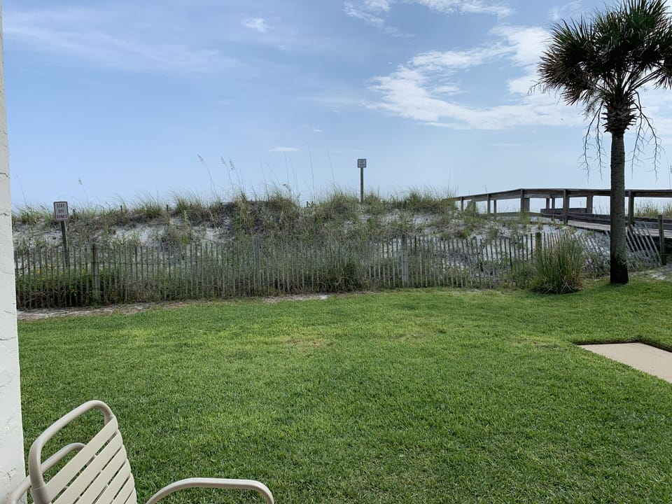 View from back door