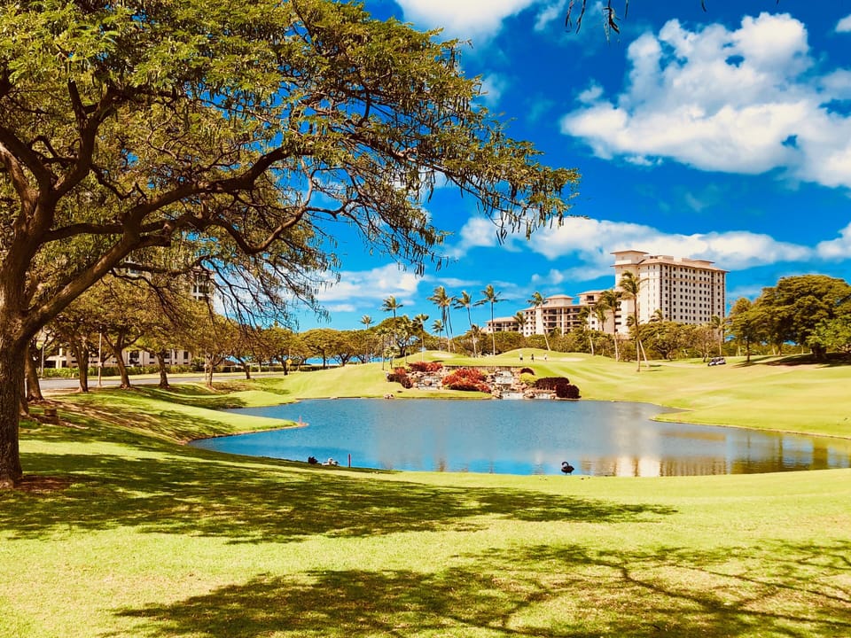 golf course